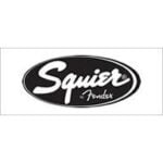 Squier 3 - Biomusic Chile