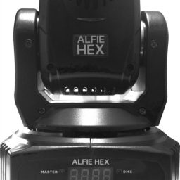 Alfiehex2.jpg800x800.r - Biomusic Chile
